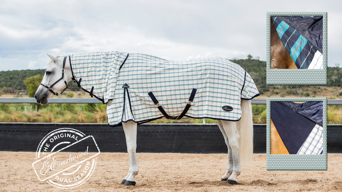 The Earlwood Dual Season - The People's Rug