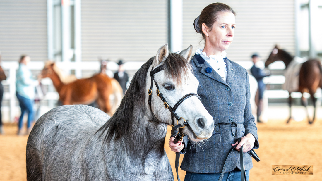 Kylie Humphreys - ABSS Winter Foal & Youngstock Spectacular, Elmore Victoria, June 2025 Photo credit: Carmel Pethick Photography