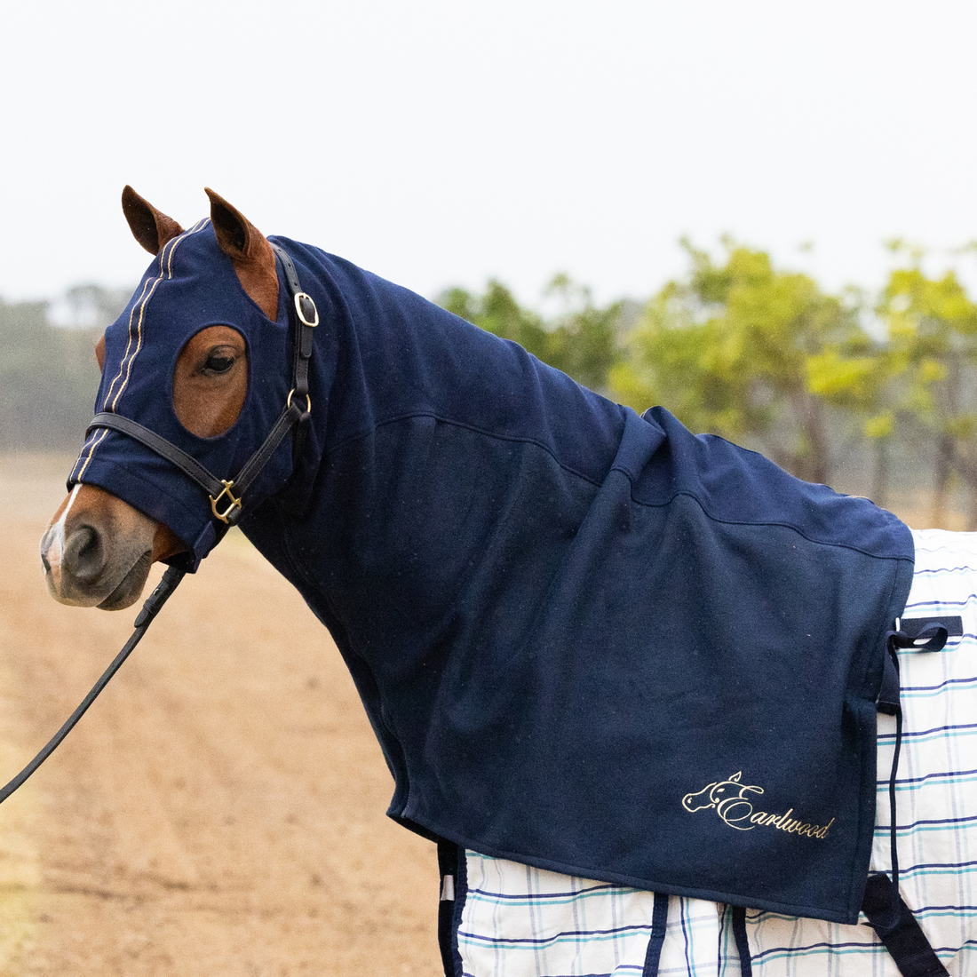 Earlwood Cotton and Fleece Hood