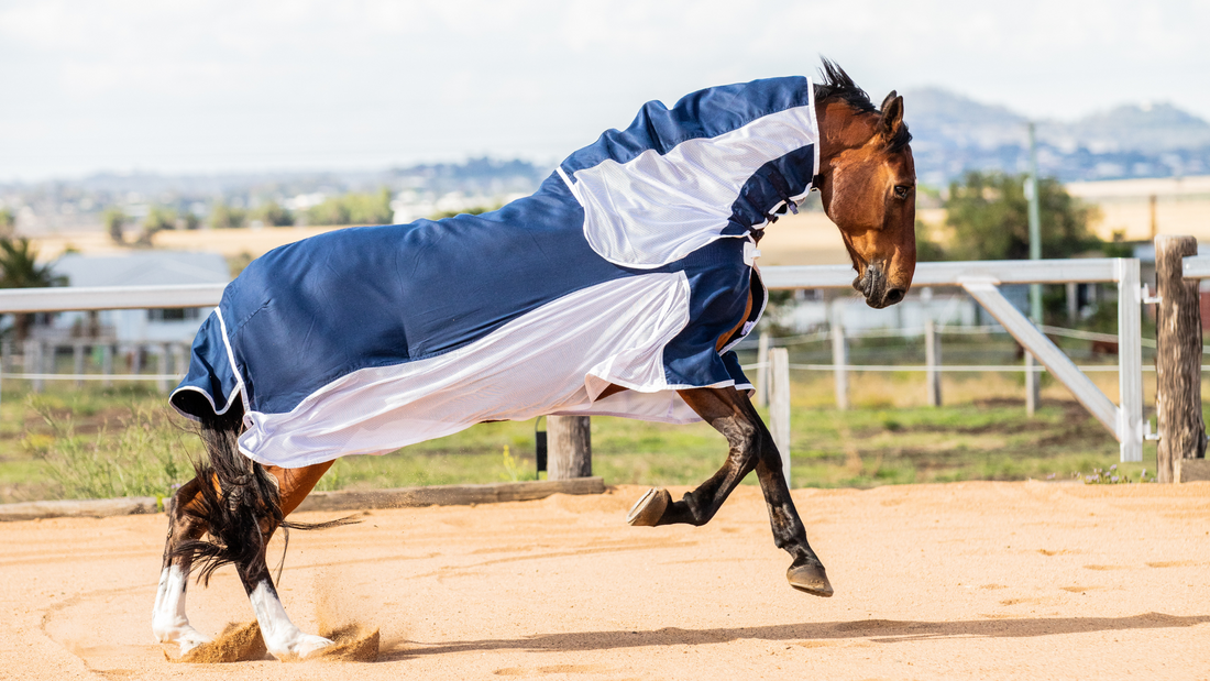 Earlwood - Where Quality Counts