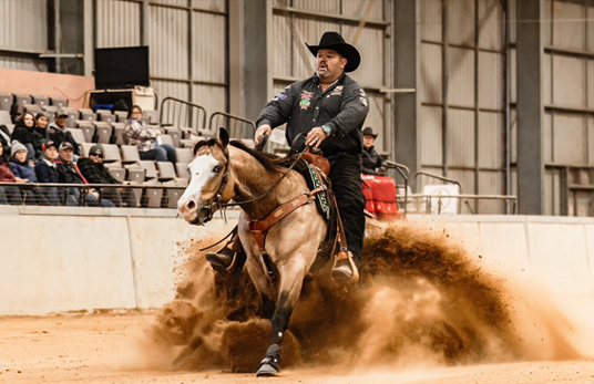 Shane Sainsbury - Sainsbury Performance Horses - Stop