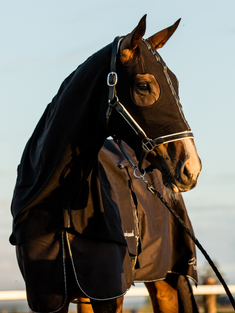 Earlwood Show Rugs