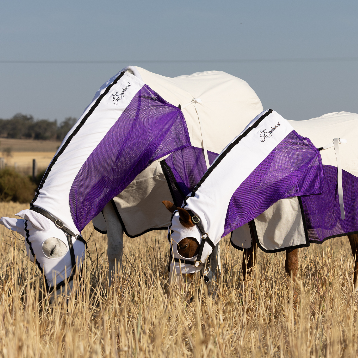 PREORDER - Aussie Bird Mesh Rug and Hood Sets