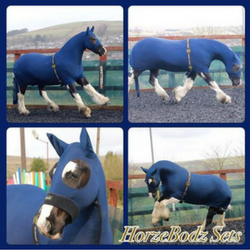 Horzebodz