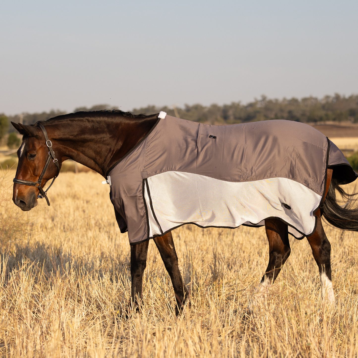 PREORDER Earlwood Brolga Mesh Show Rug