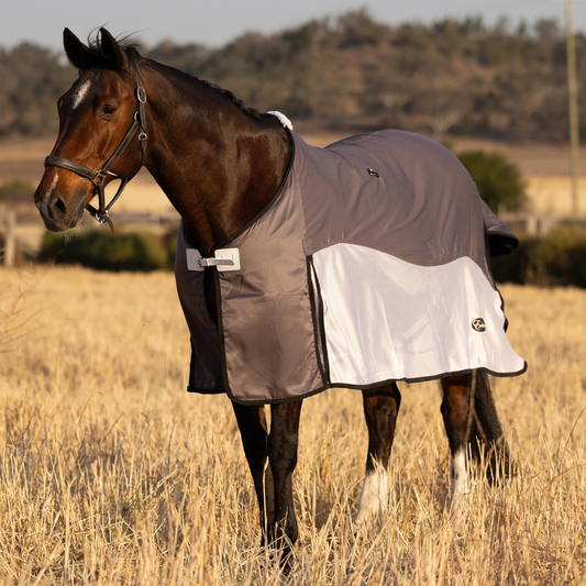 PREORDER Earlwood Brolga Mesh Show Rug