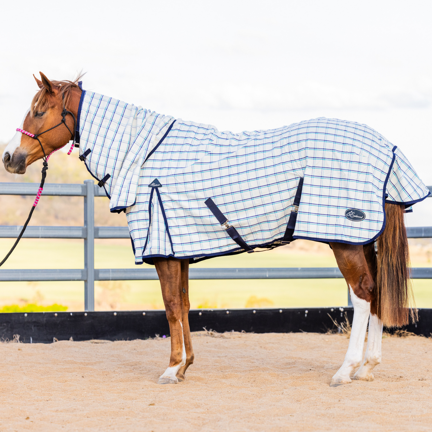 Earlwood Dual Season WOOL Lined Combo