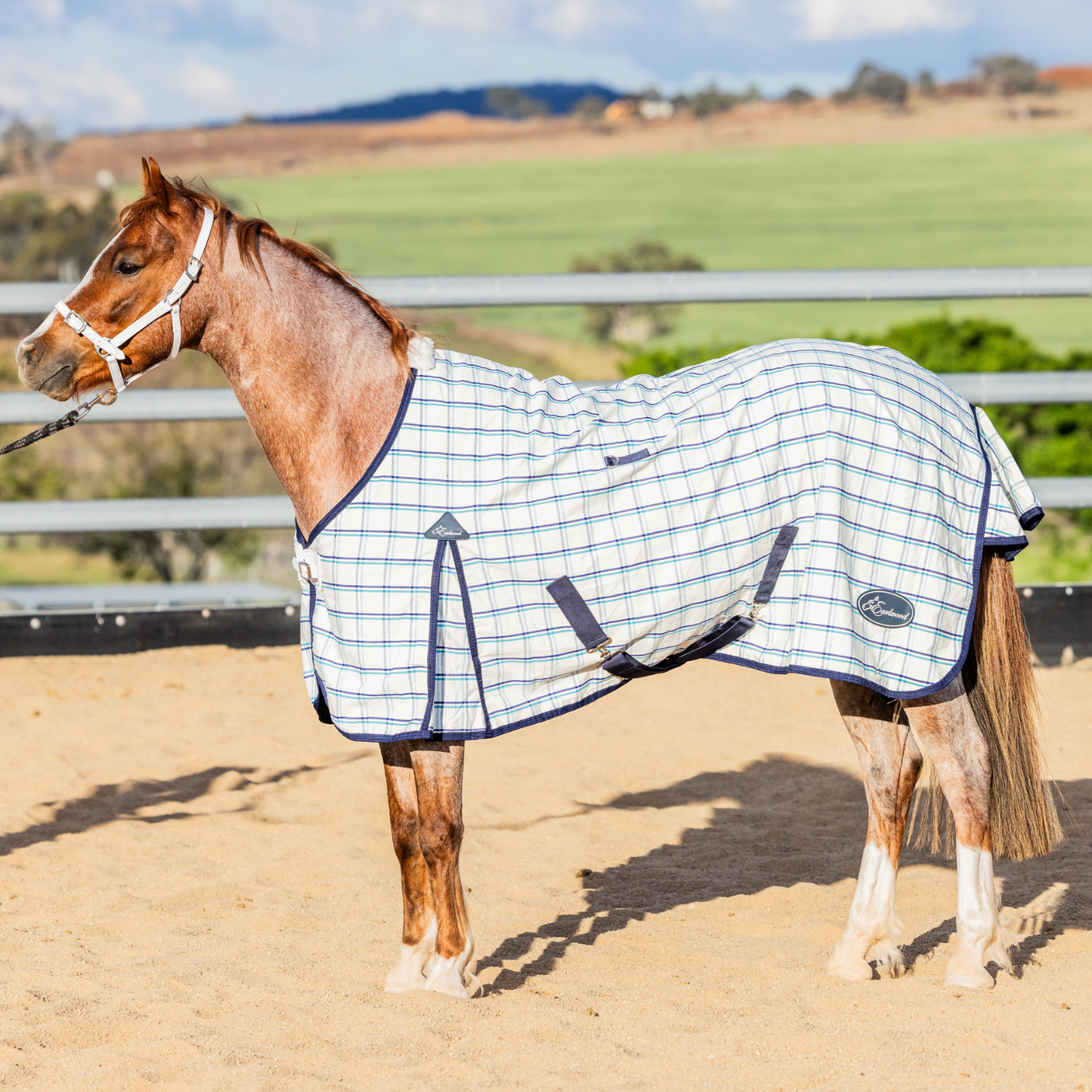 The Original Earlwood Dual Season WOOL Lined Rug