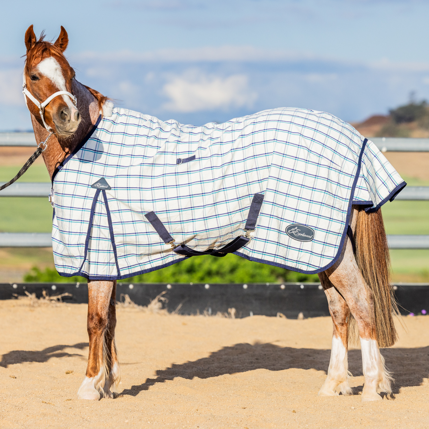 The Original Earlwood Dual Season WOOL Lined Rug