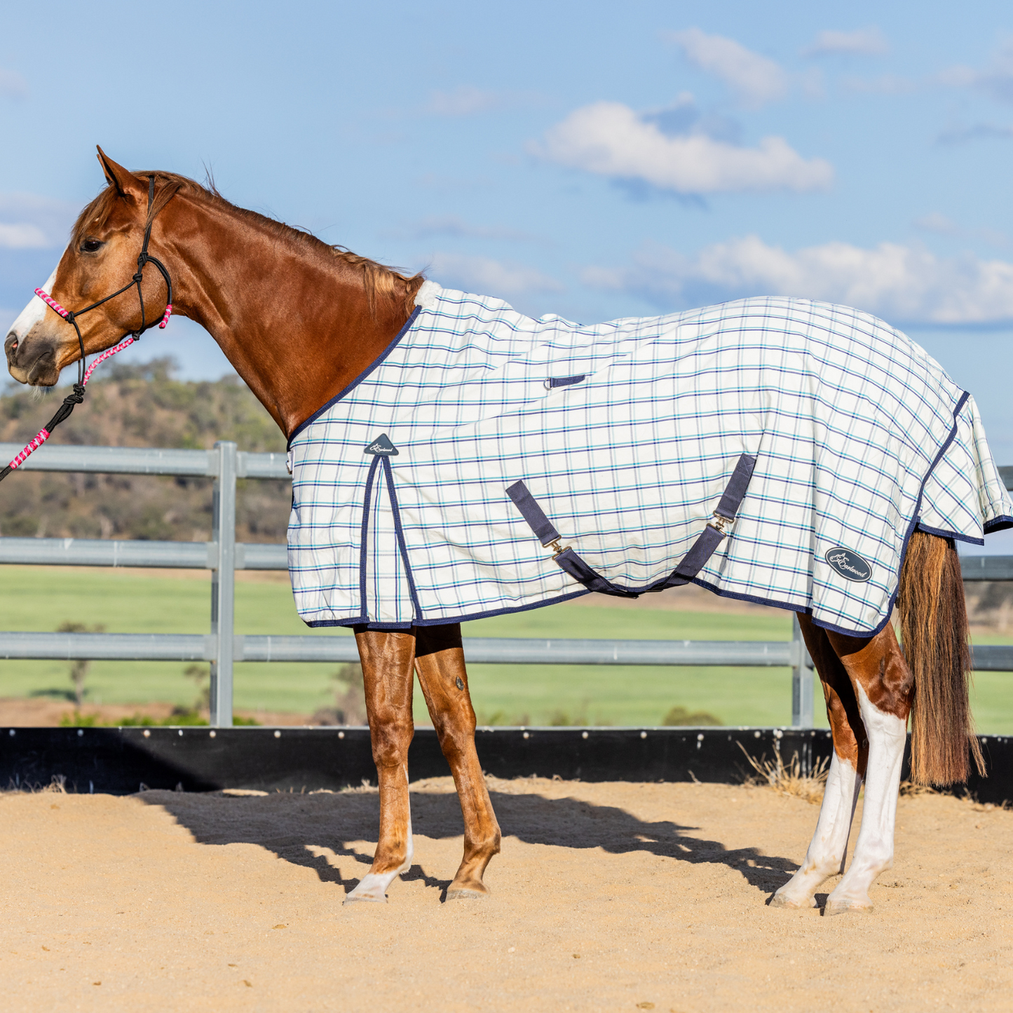 The Original Earlwood Dual Season WOOL Lined Rug