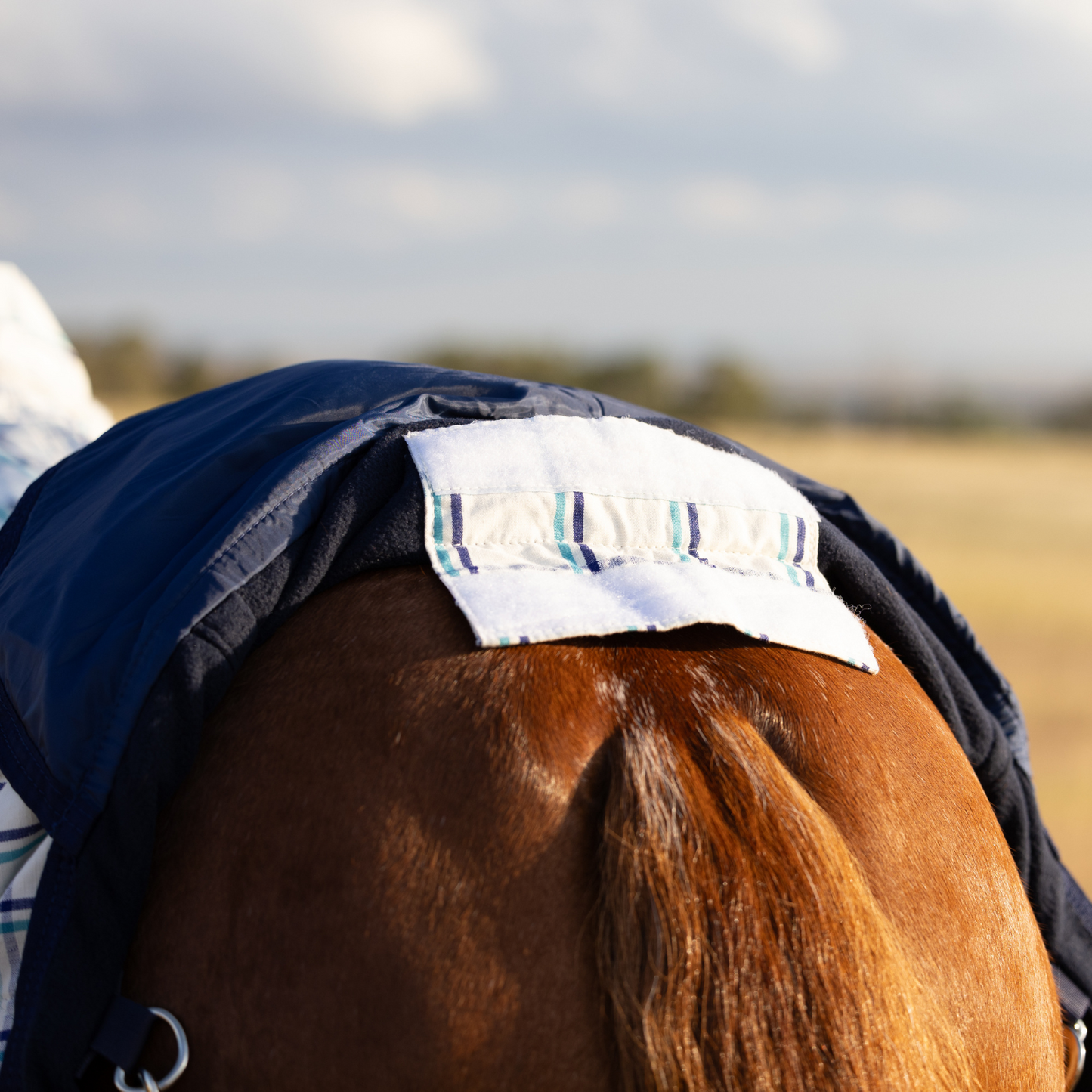 The Original Earlwood Dual Season WOOL Lined Rug