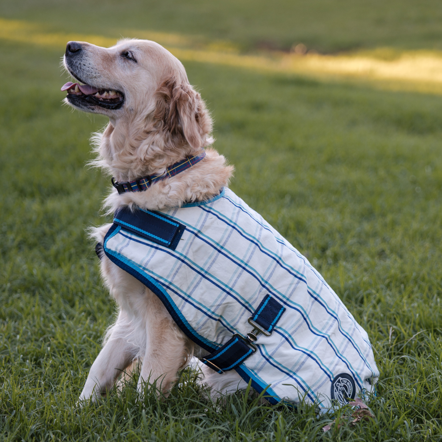 Earlwood Dual Season FLEECE Lined DOG Rug