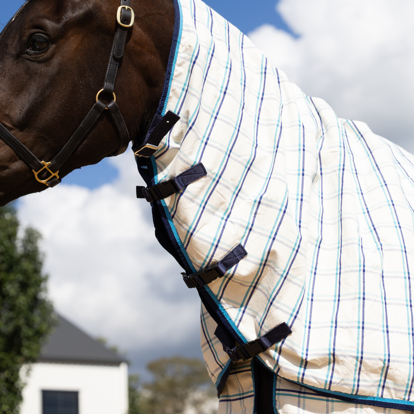 Earlwood Dual Season Fleece Lined Neck Rug