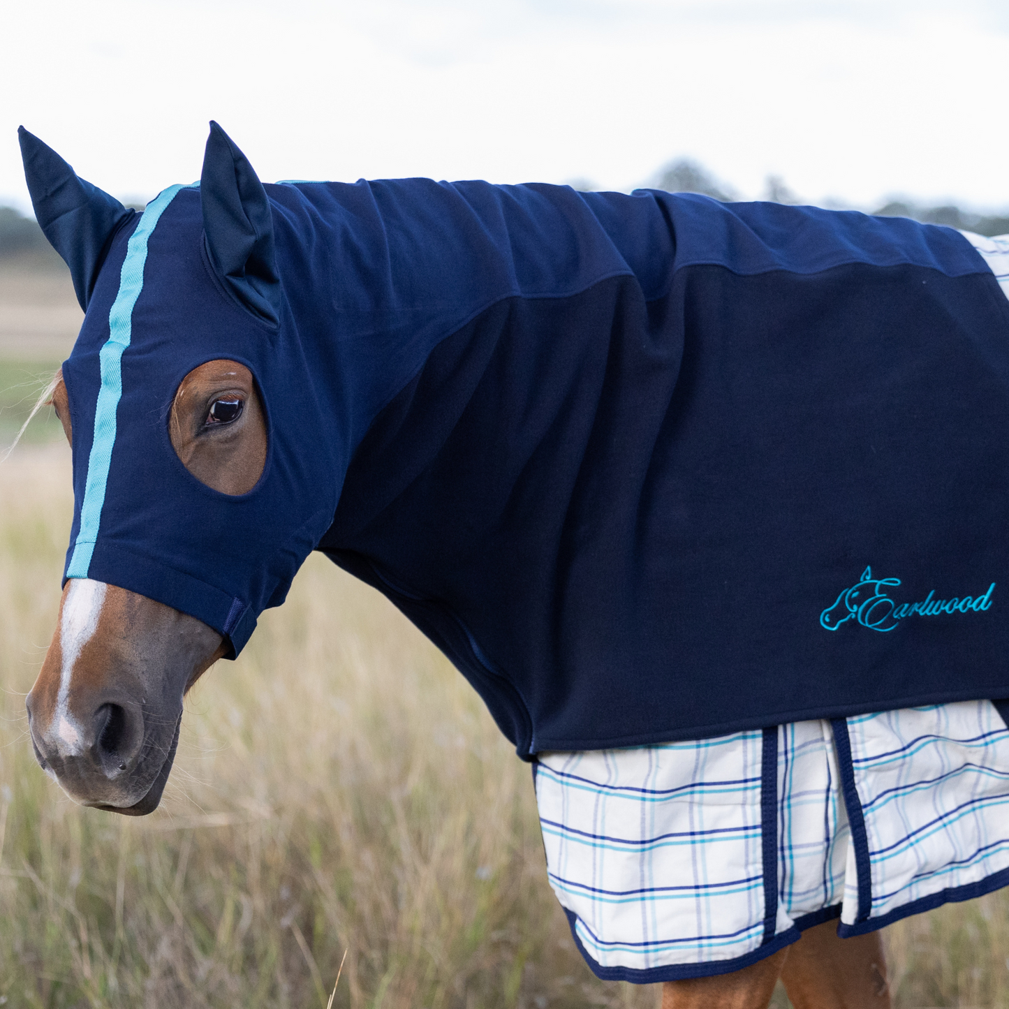 Earlwood Hood - FLEECE - with EARS - Nvy/Turquoise