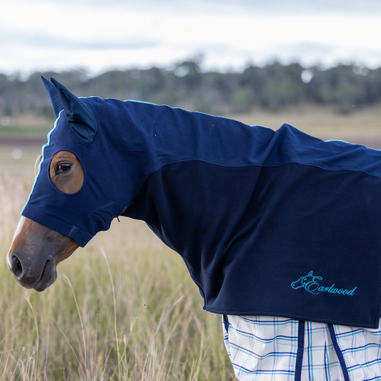 Earlwood Hood - FLEECE - with EARS - Nvy/Turquoise
