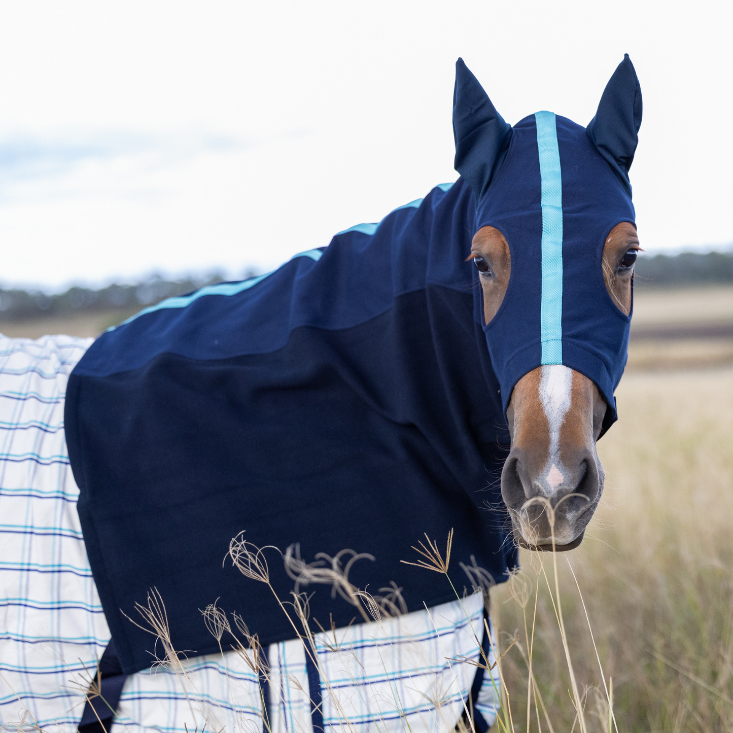 Earlwood Hood - FLEECE - with EARS - Nvy/Turquoise