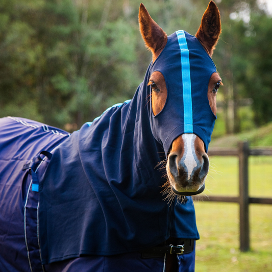 Earlwood Navy/Electric Blue Hood - ZIPPED UP!