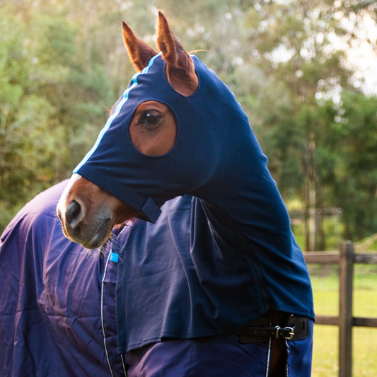 Earlwood Navy/Electric Blue Hood - PULL ON