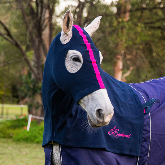 Earlwood Navy/Pink Hood - PULL ON