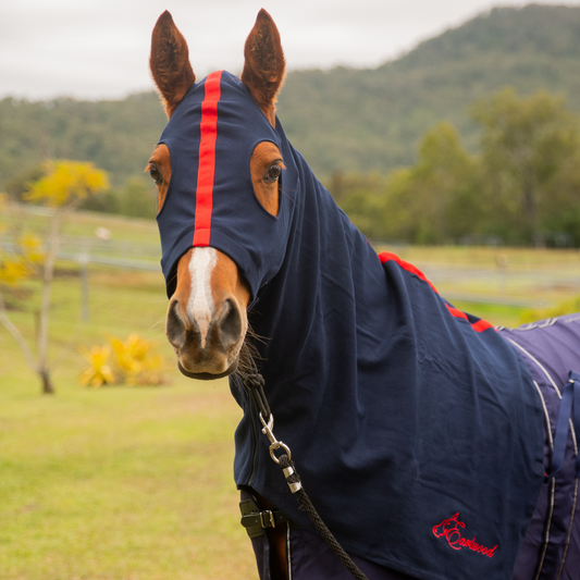 Earlwood Navy/Red Hood - ZIPPED UP!