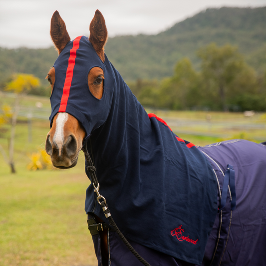 Earlwood Navy/Red Hood - PULL ON