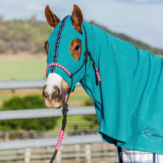 Earlwood Turquoise Hood - ZIPPED UP!