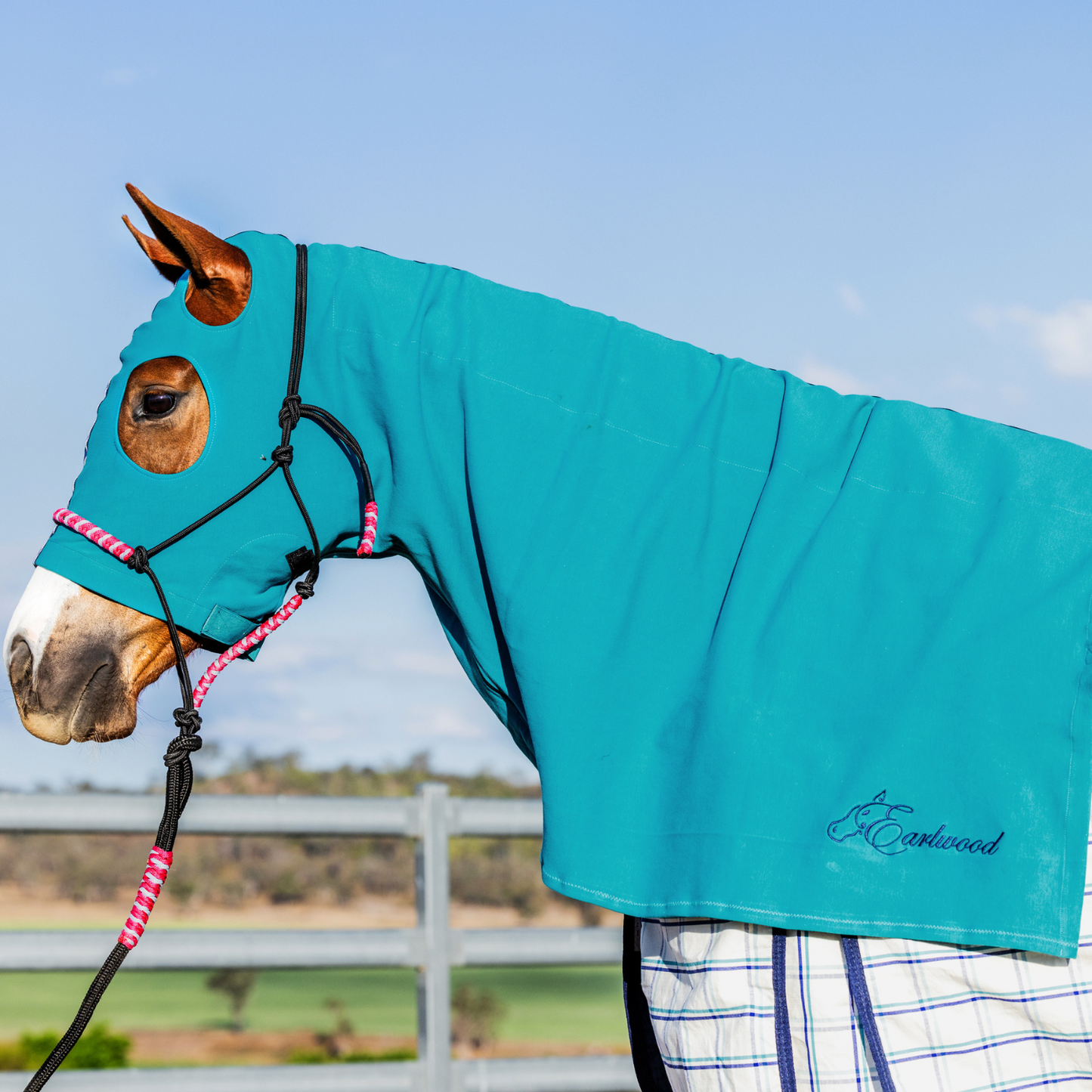 Earlwood Turquoise Ltd Edtn Hood - ZIPPED UP!