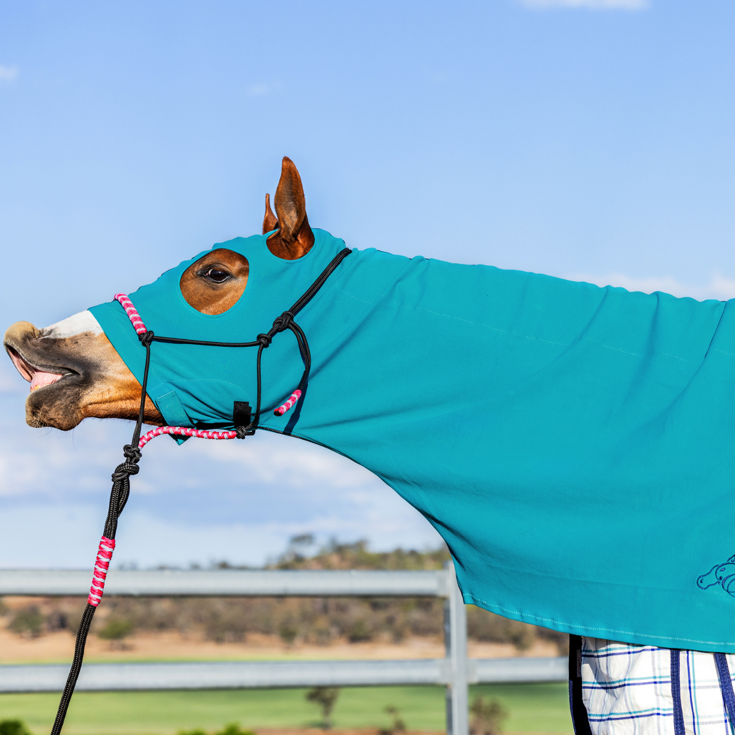 Earlwood Turquoise Ltd Edtn Hood - ZIPPED UP!