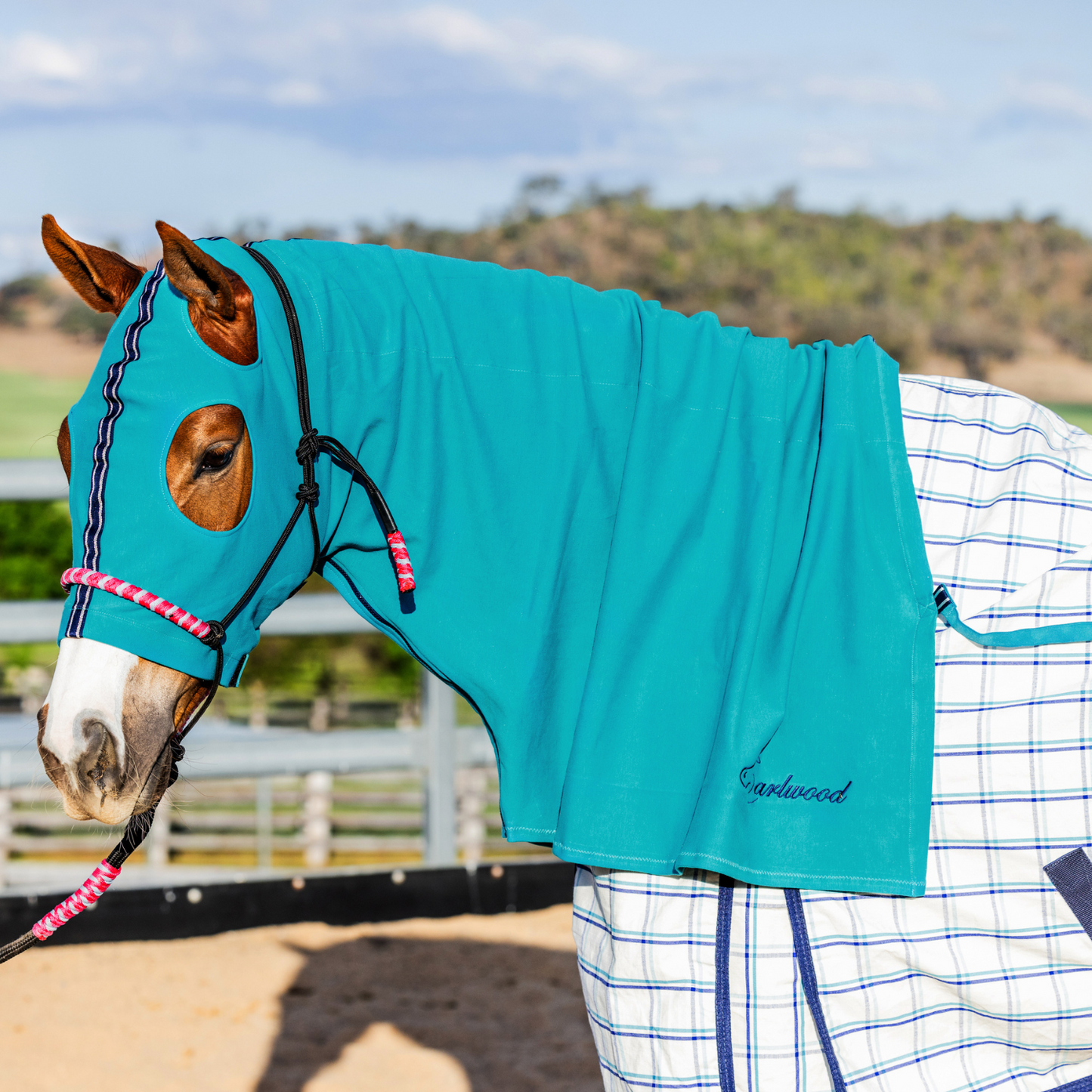 Earlwood Turquoise Ltd Edtn Hood - ZIPPED UP!