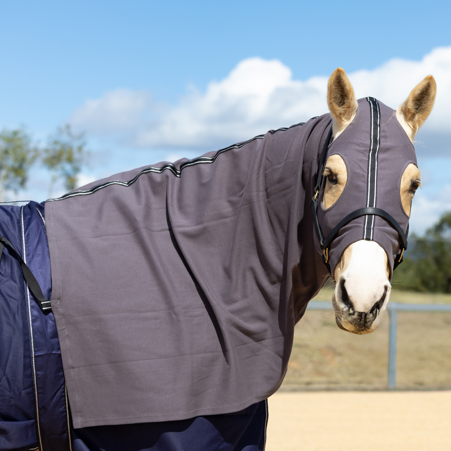 Earlwood Wild Dove Hood - ZIPPED UP!