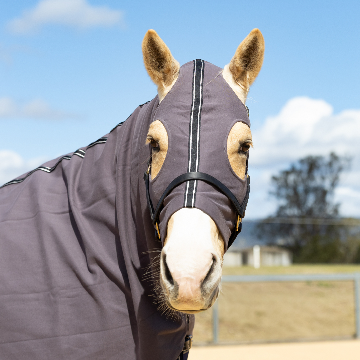 Earlwood Wild Dove Hood - ZIPPED UP!
