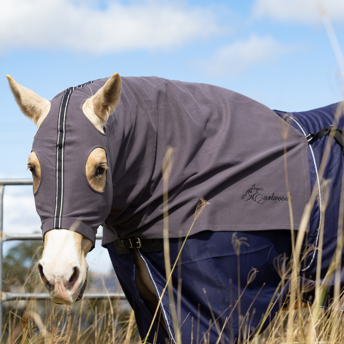 Earlwood Wild Dove Hood - ZIPPED UP!