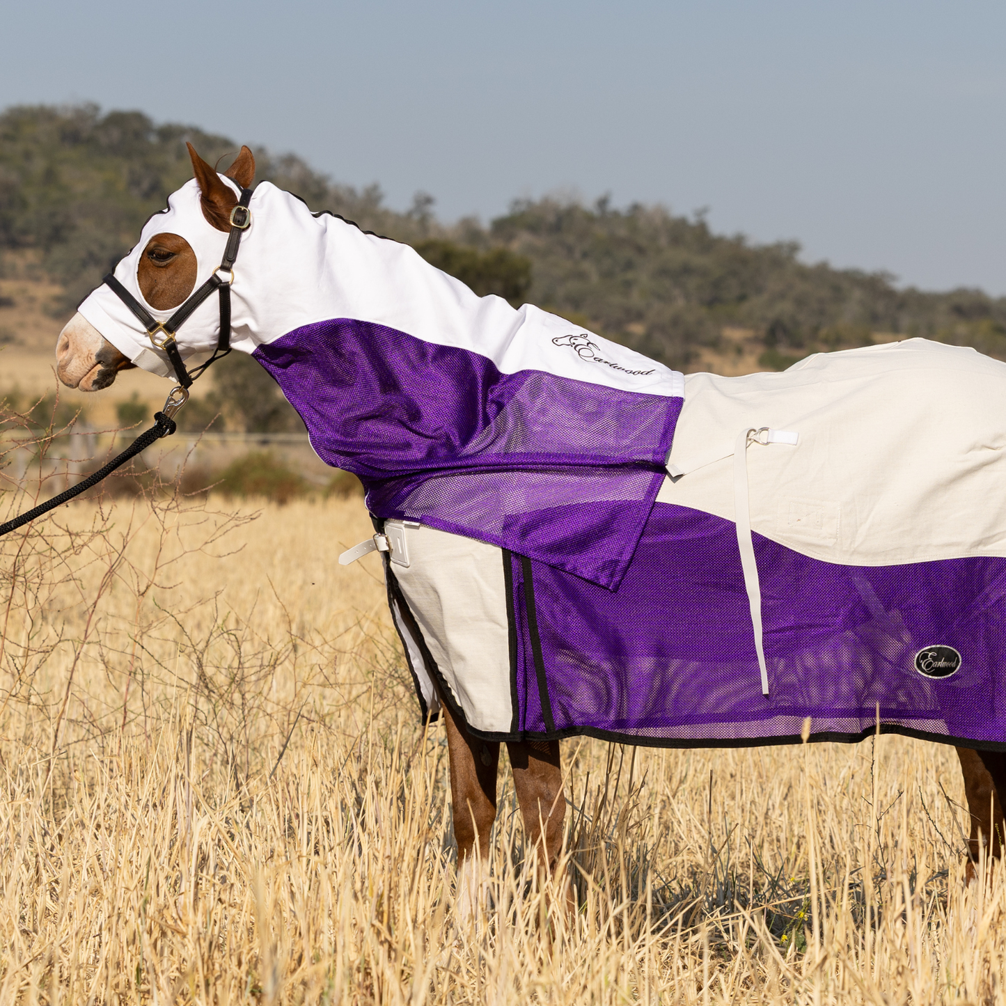 PREORDER Earlwood Fairy Wren MESH Hood