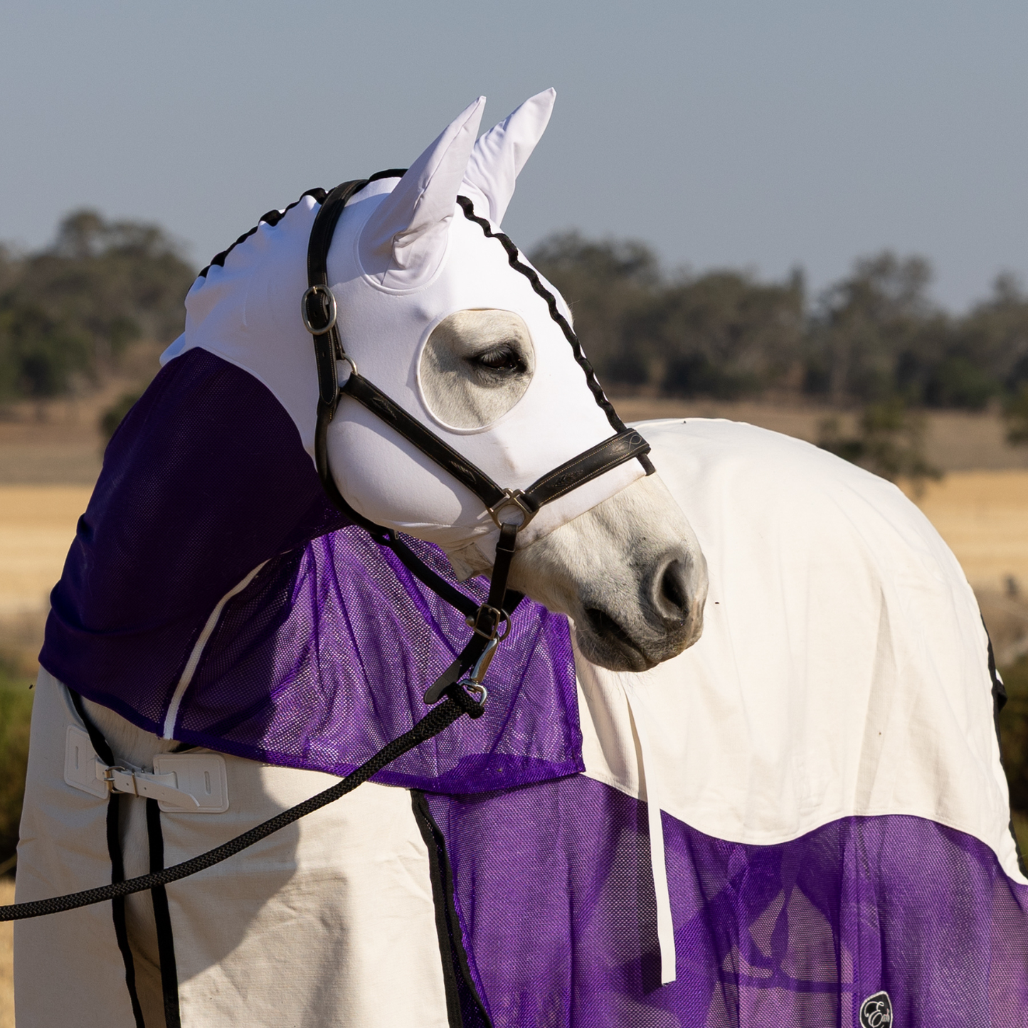 PREORDER Earlwood Fairy Wren MESH Hood