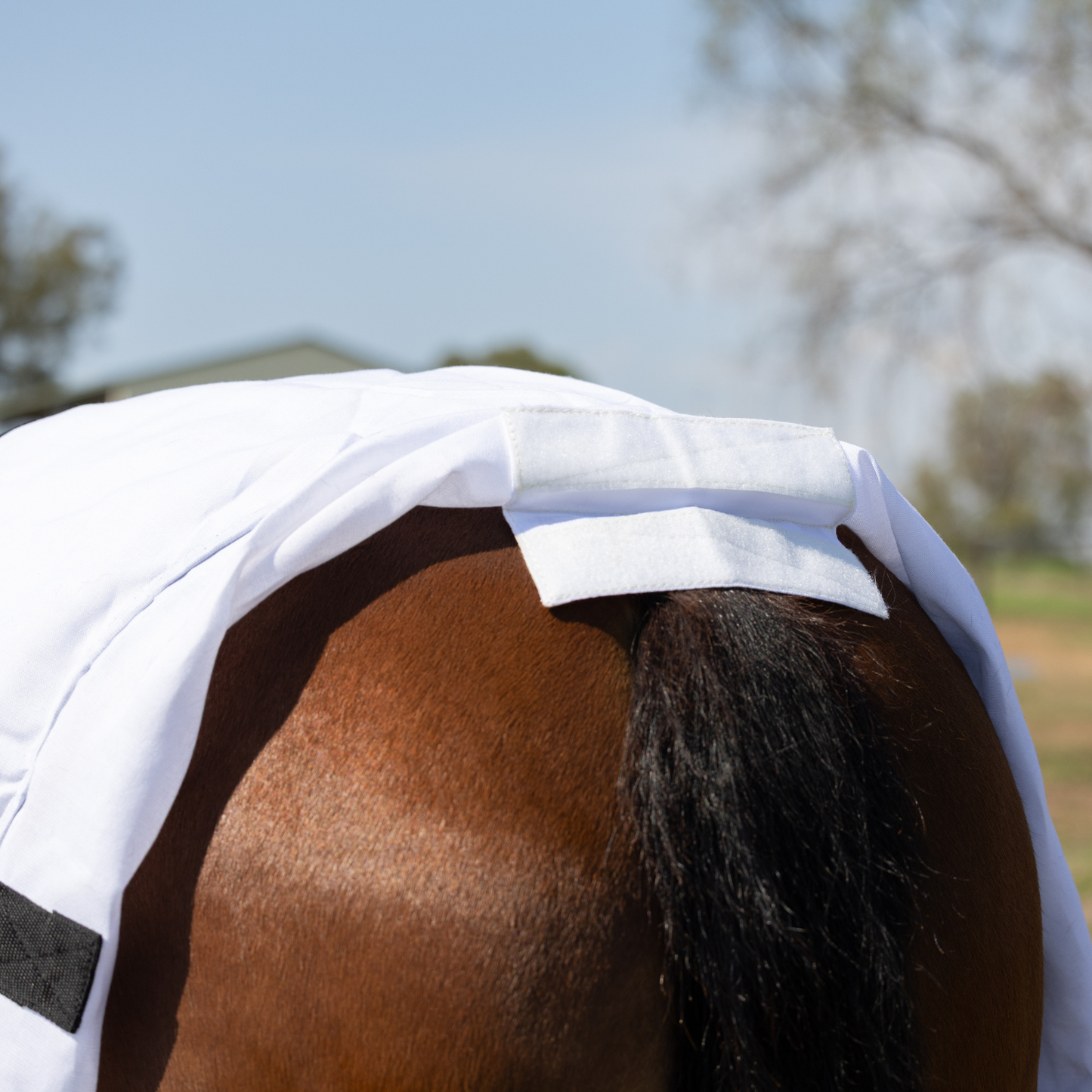 Earlwood Flag Tail Bag - Magpie