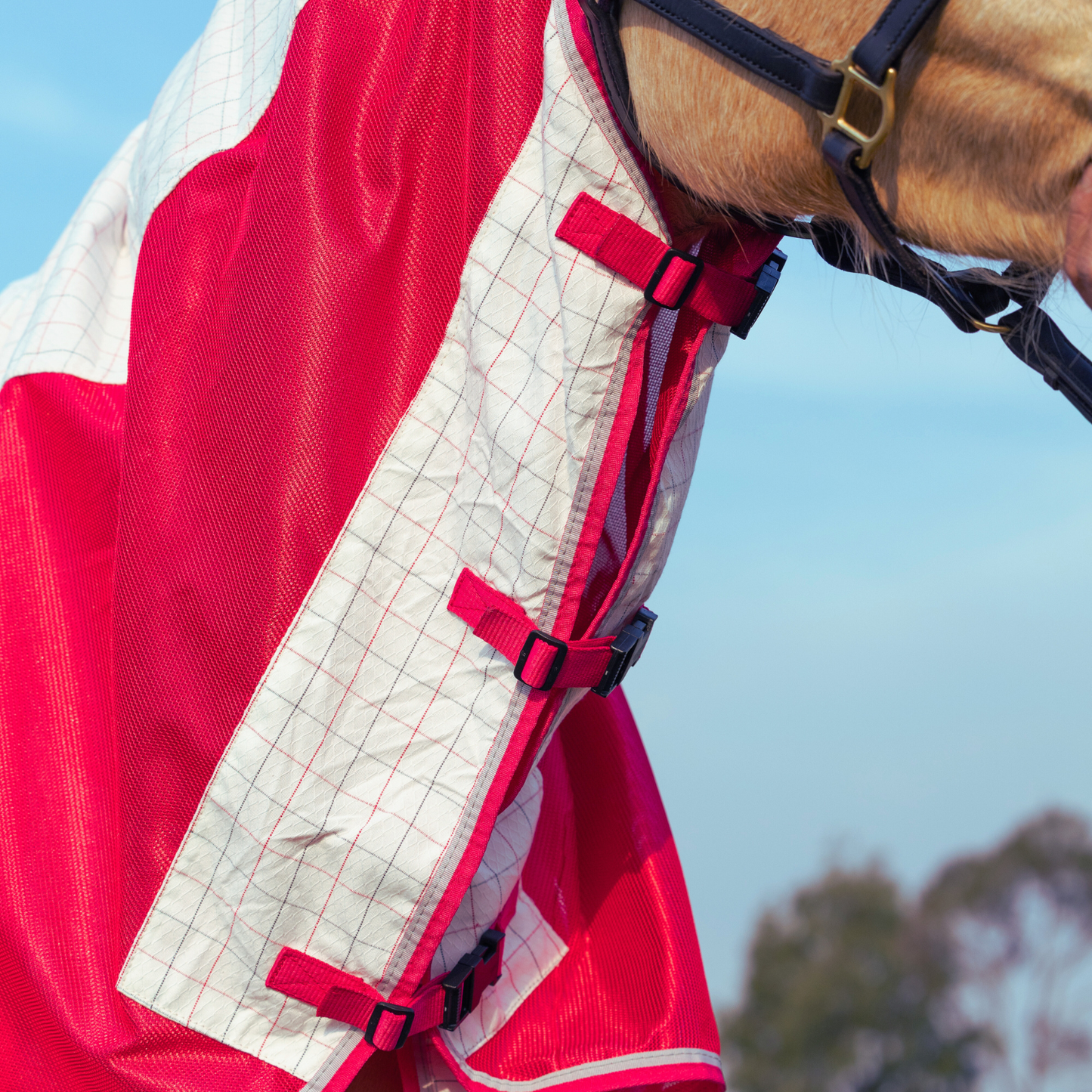 Earlwood Airflow Ripstop Combo - GALAH