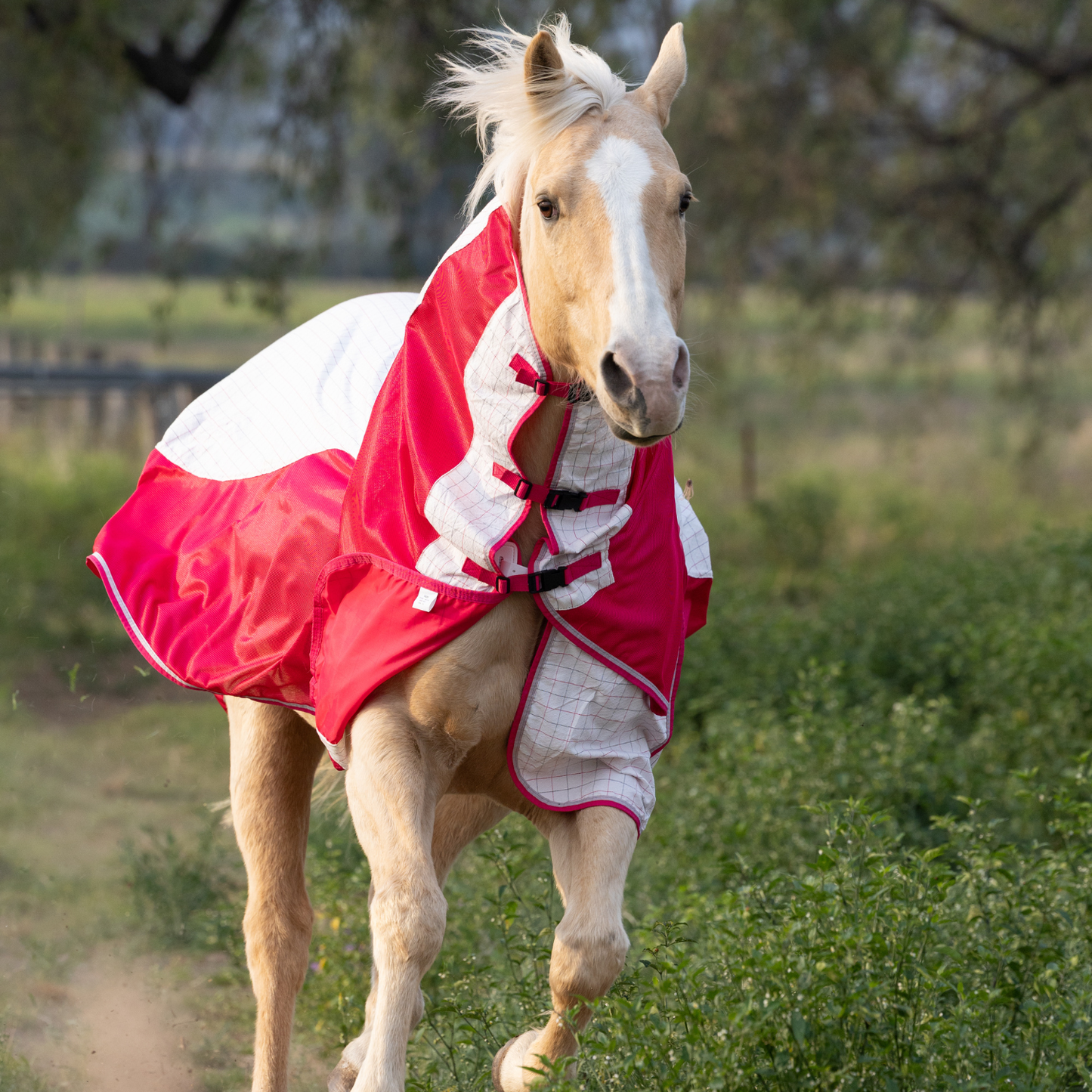 Earlwood Airflow Ripstop Combo - GALAH