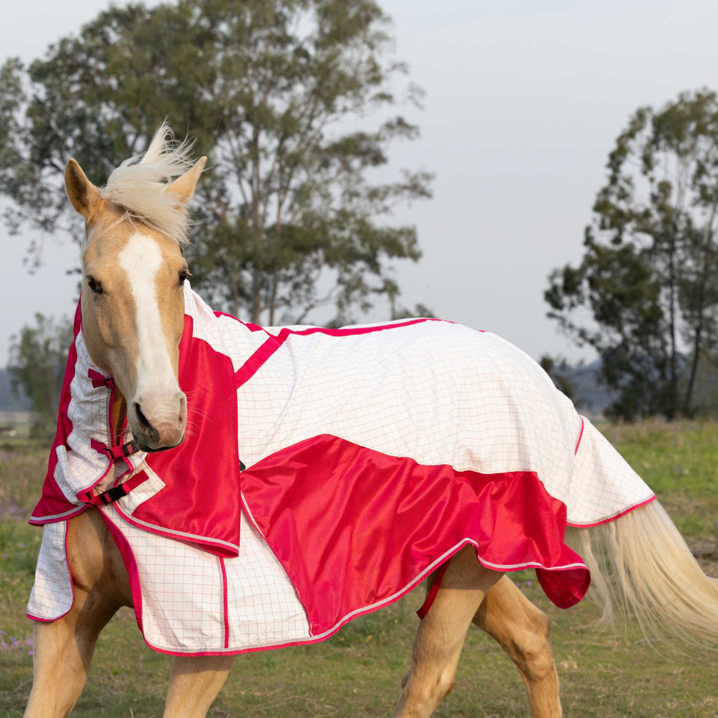Earlwood Airflow Ripstop Combo - GALAH