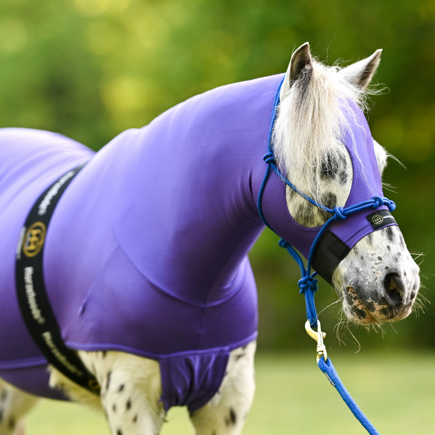 HorzeBodz Mini - with EARS