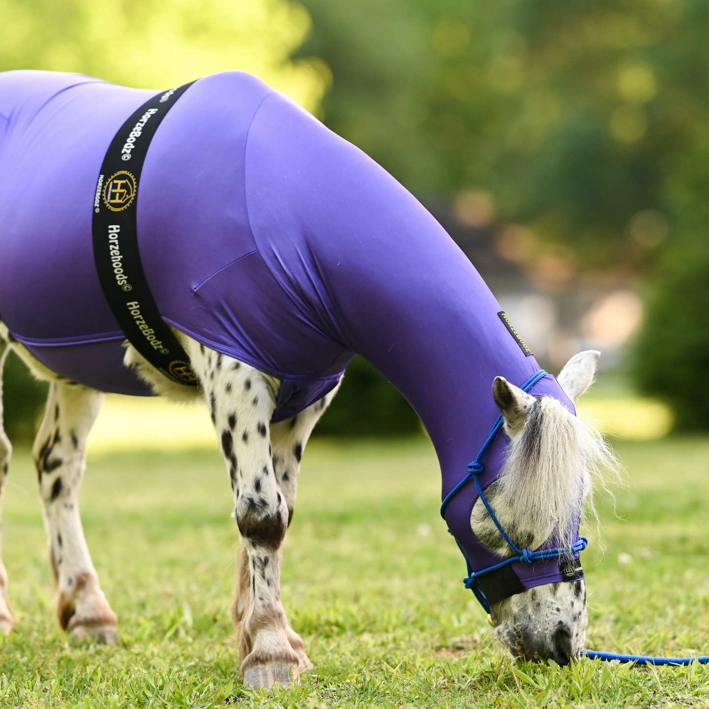 HorzeBodz Mini - with EARS