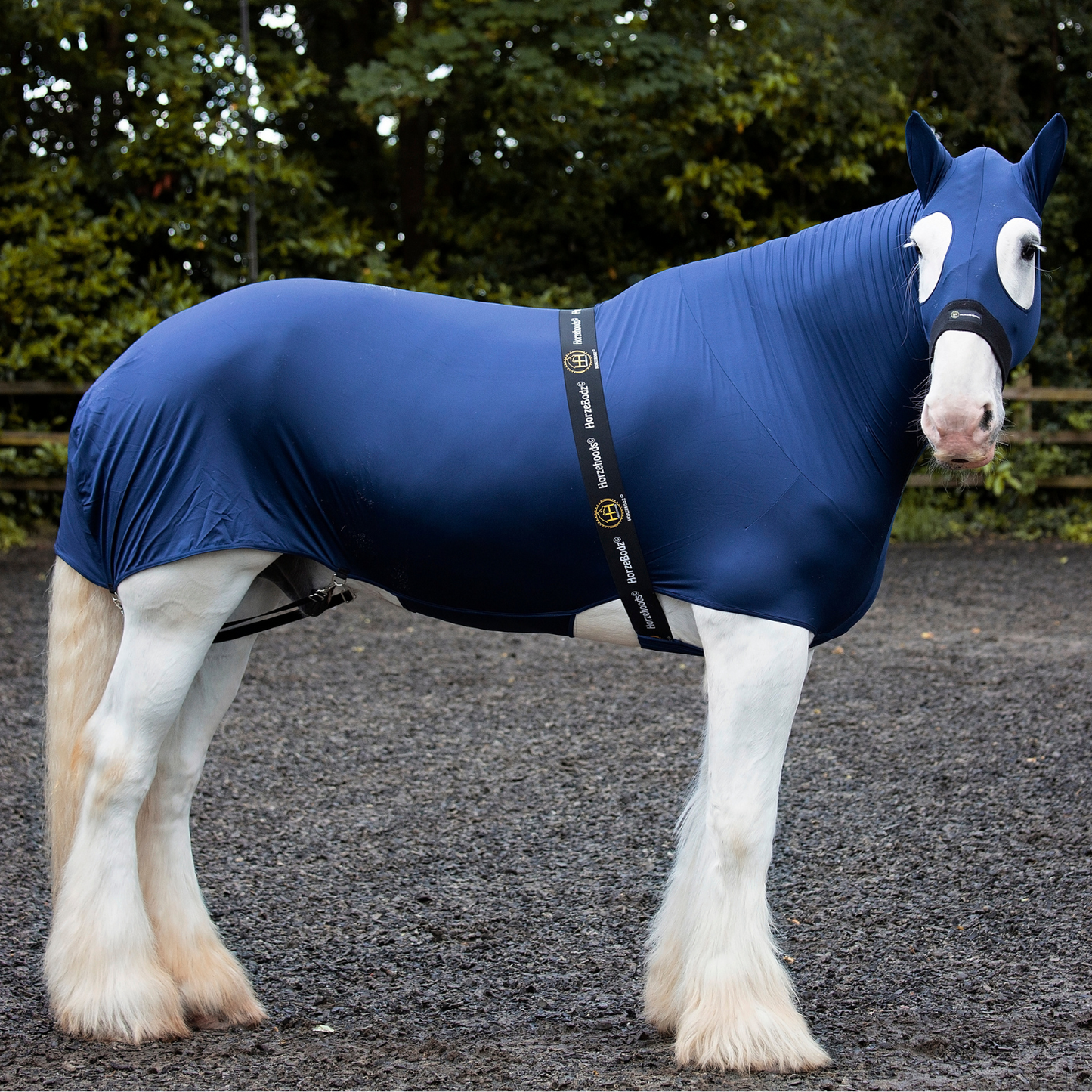 HorzeBodz - with EARS