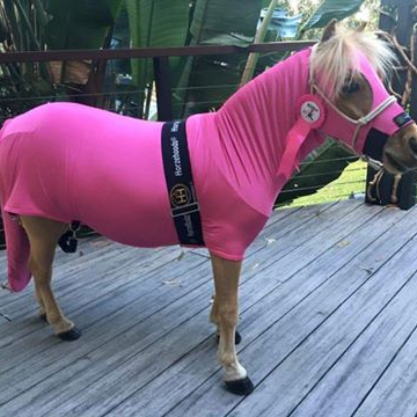 HorzeBodz Mini - with EARS