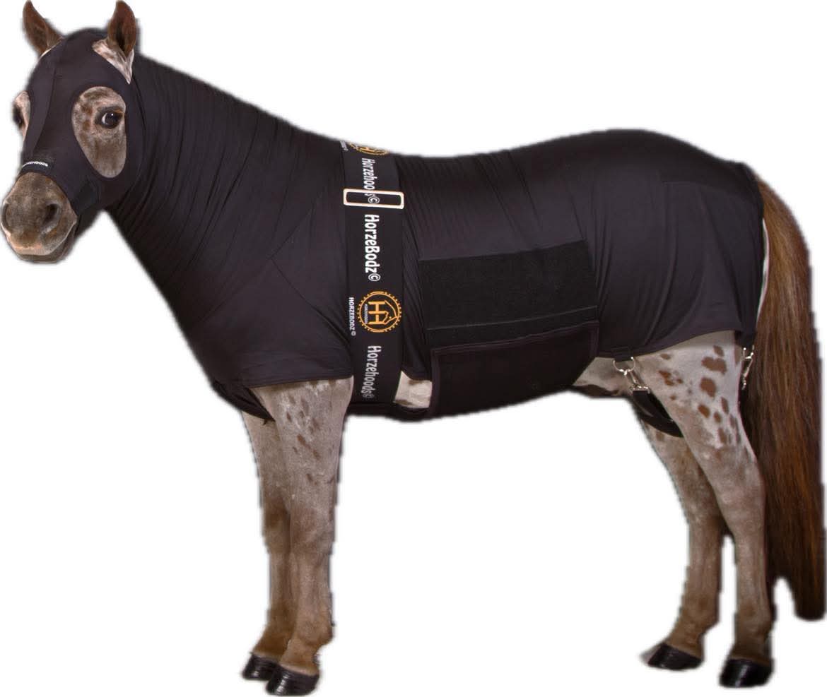 HorzeBodz Mini - with EARS