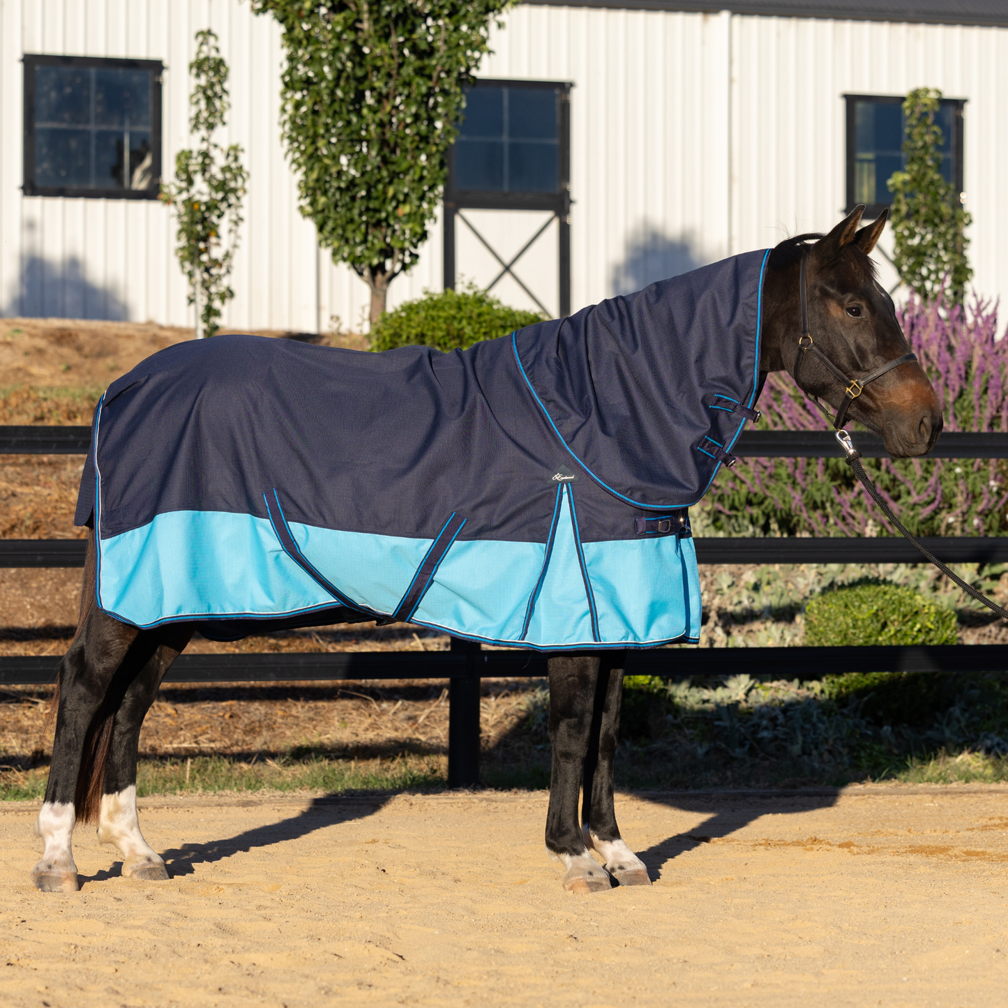 Earlwood Pluvia Detacha Neck RAINSHEET Combo