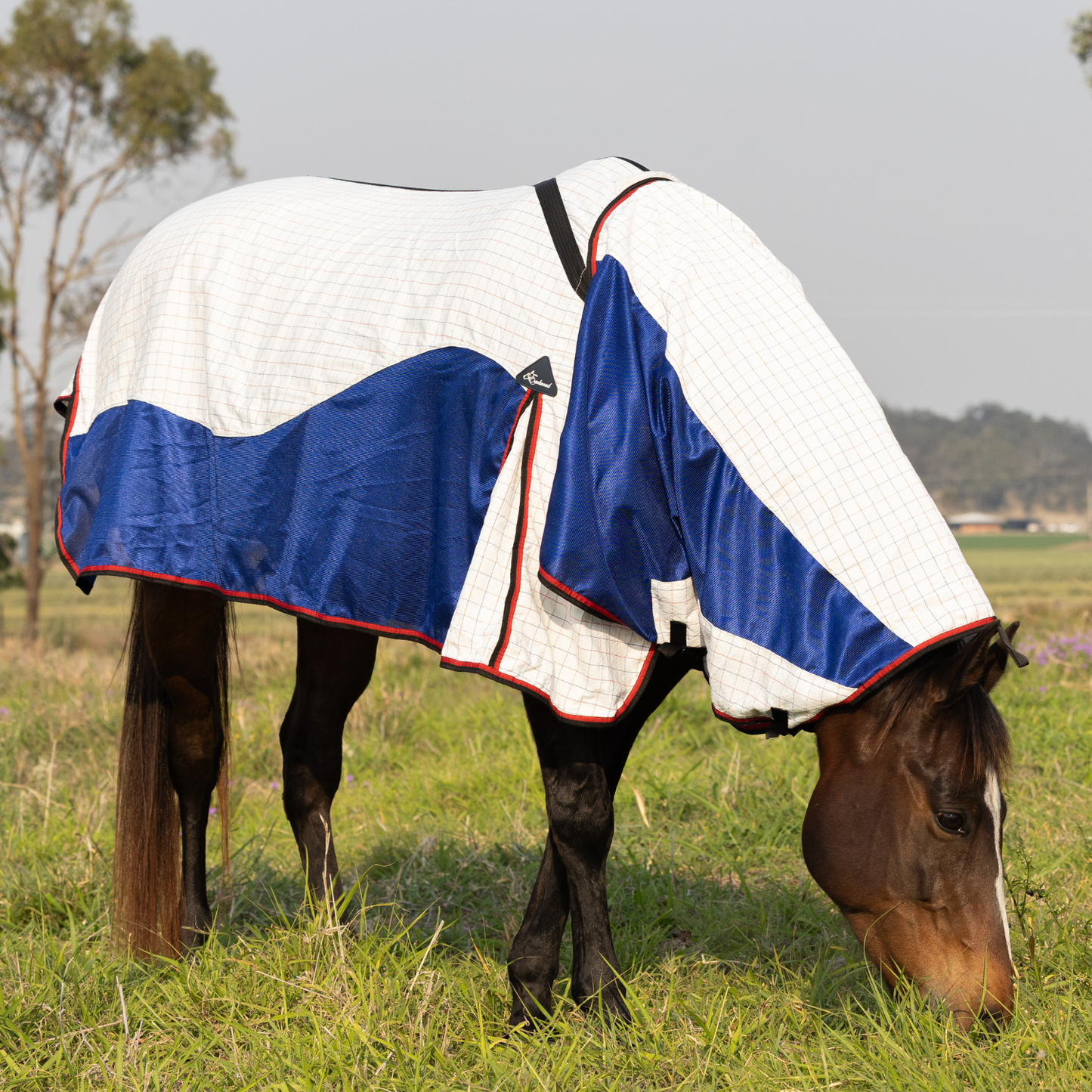 Earlwood Airflow Ripstop Combo - ROSELLA