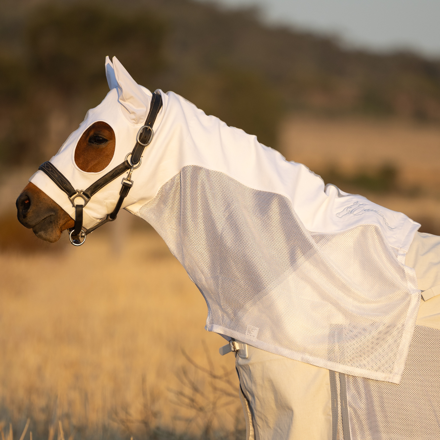 PREORDER Earlwood Seagull MESH Hood