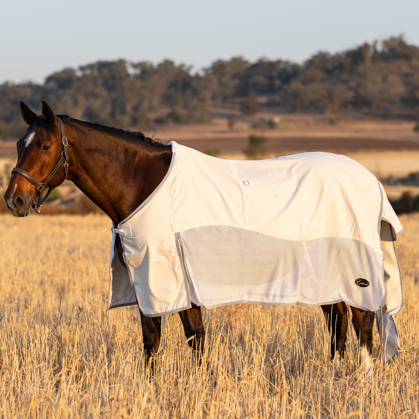PREORDER Earlwood Seagull Mesh Ripstop Rug
