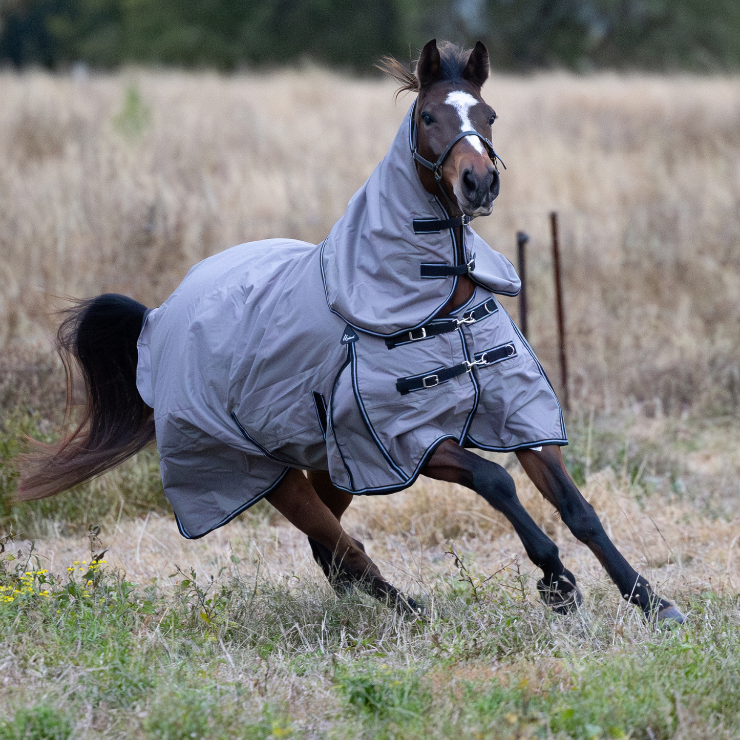 Earlwood Solstice 2025 Detacha Neck WATERPROOF Fleece Lined Combo