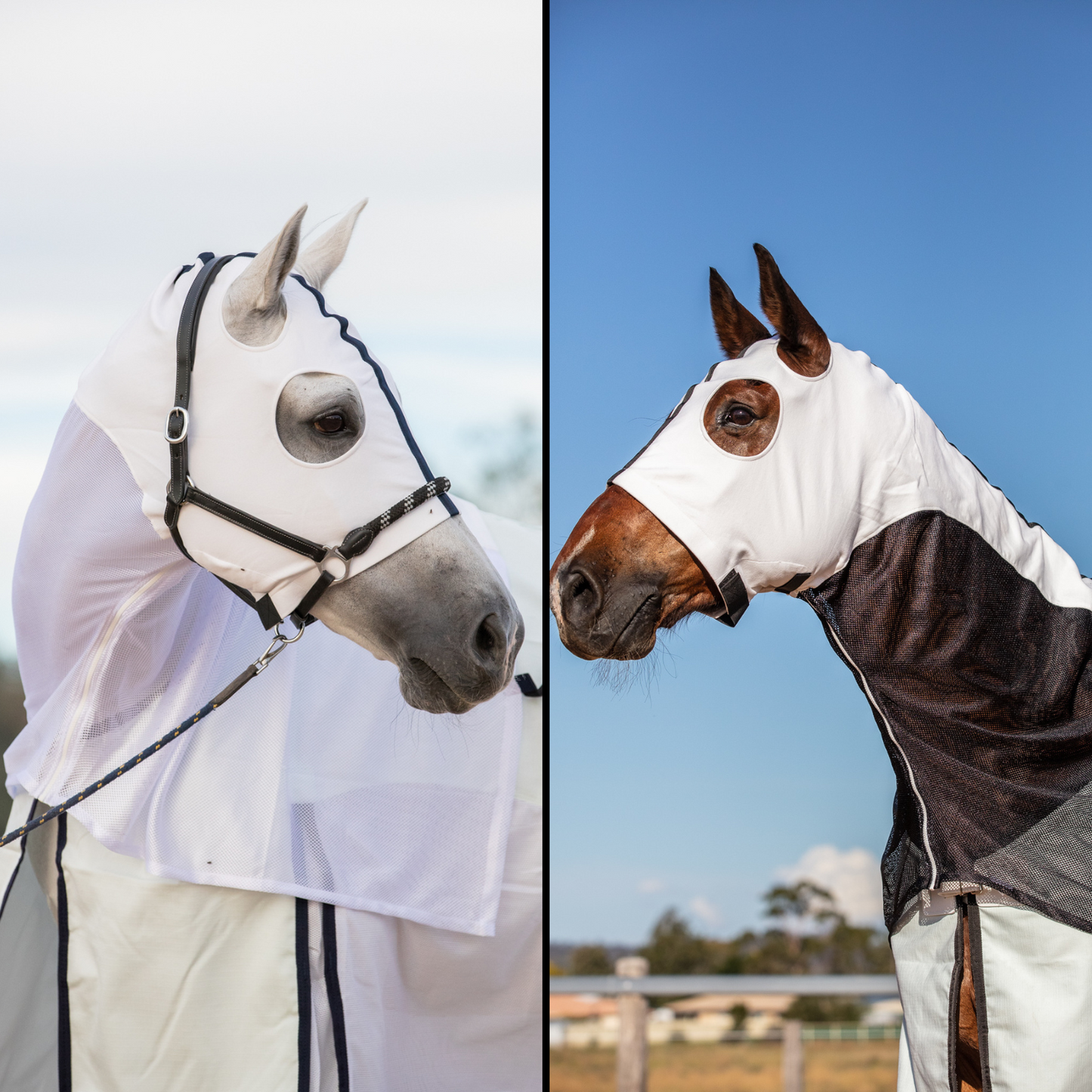 Earlwood White OR Black MESH Hoods