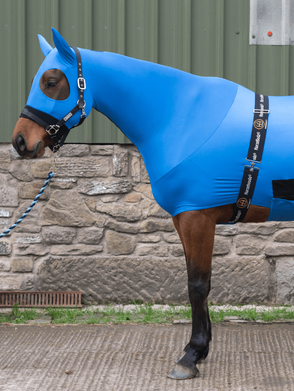 HorzeBodz - with EARS